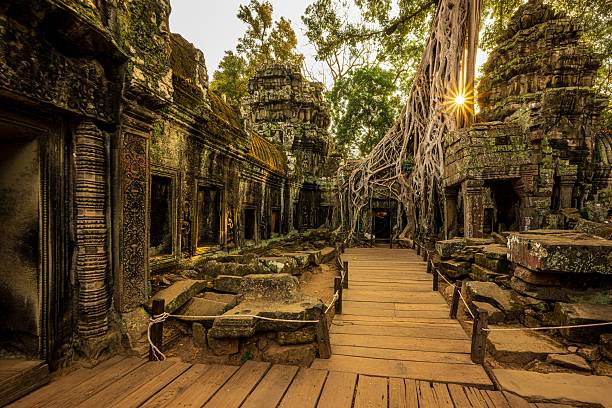 Ta Prohm temple ruins at sunset.