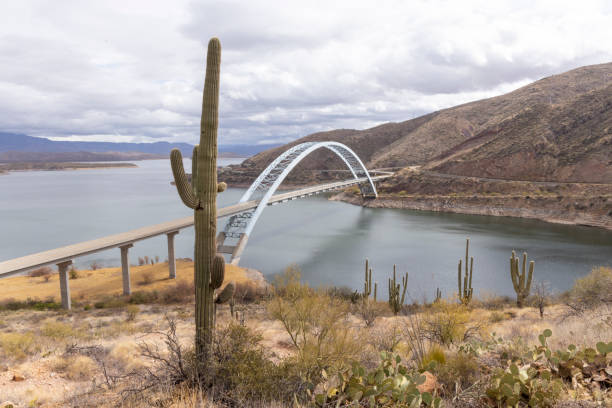 Elevated view of Theodore Roosevelt Bridge, cacti, mountains and lake, distant storm clouds, Tonto Basin, AZ
