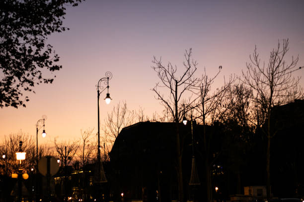 istock streetlights and bare trees at dusk 2204006254