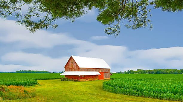 istock OLd Weathered barn with cornfield-Howard County, Indiana 2204009913