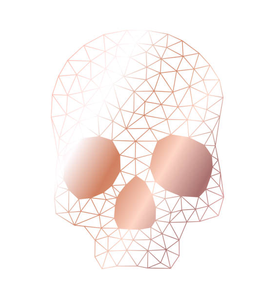 Triangular low poly geometric skull in rose golden isolated over white illustration Triangular low poly geometric skull in rose golden isolated over white, vector illustration. clip art of a dead rose stock illustrations