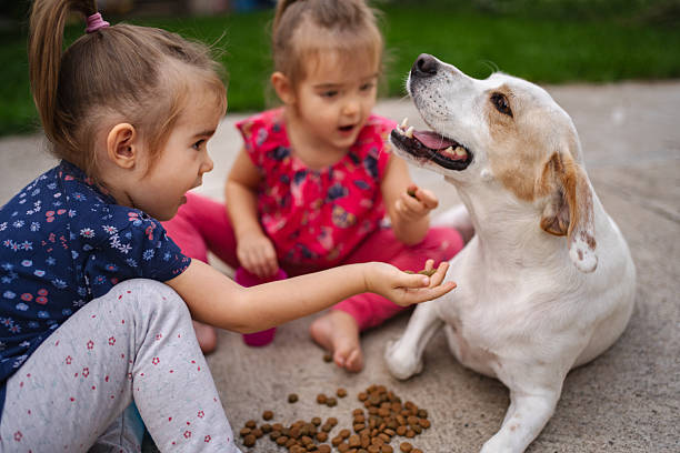 istock Two little girls feeding a dog in the backyard 2204015721