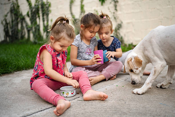 Three little girls are sitting on the ground in the backyard, playing with their dog