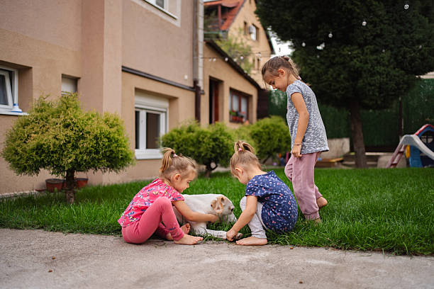 Three sisters are taking care of their dog in the backyard of their house