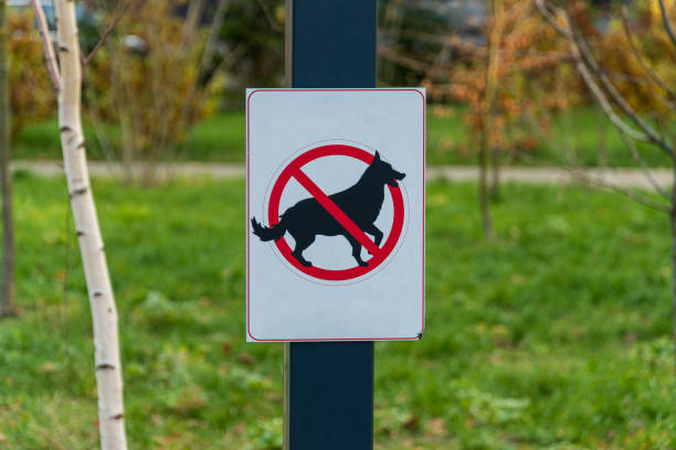Notice sign indicating no dogs allowed in a verdant park surrounded by trees and greenery during daylight hours.