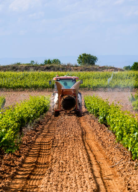 istock tractor spraying sulphate on the vineyard 2204020677