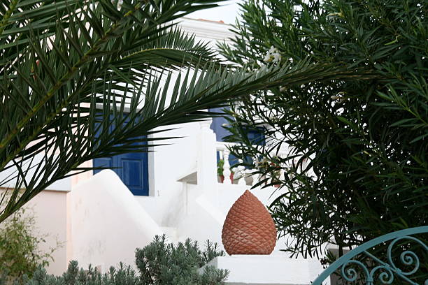 istock Mediterranean House Framed in Ferns 2204023220