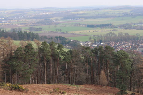 istock Conifers on a hillside overlooking countryside 2204024702