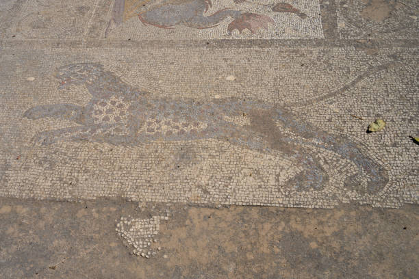 Ancient Greek mosaic tile floor, ancient ruins on Kos, Greek Island