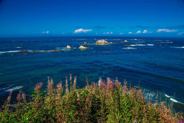 A stunning coastal Landscape features rugged cliffs covered in lush greenery overlooking a sandy beach and vibrant turquoise waves on the Pacific coast of Oregon.
