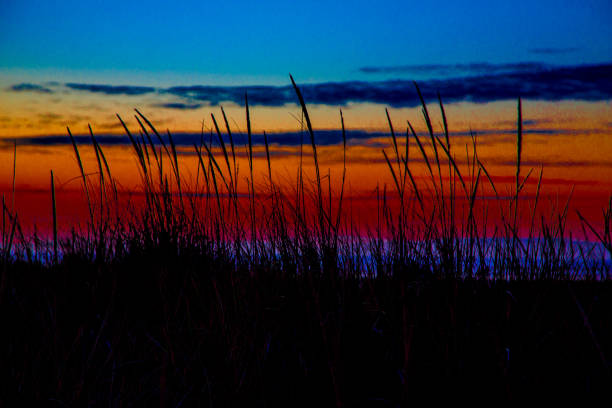 Tall grasses silhouette against a vibrant sunset sky with rich hues of orange and blue forming a soft layer of colorful clouds across the horizon on the northwest coast of Washington along US route 101.