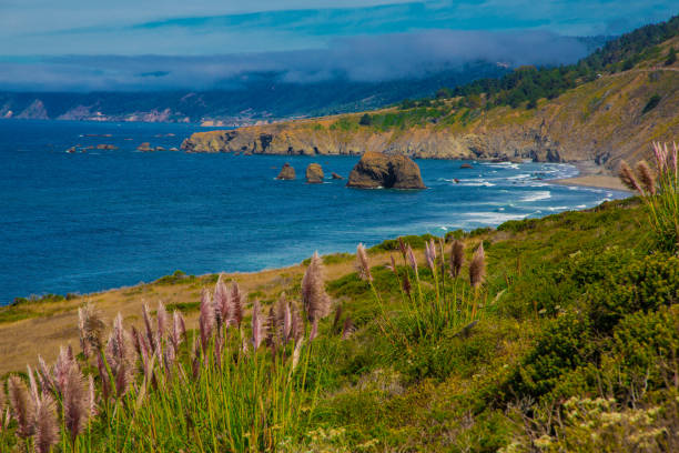 istock Northwest US Pacific landscape on the California coast. 2204030079