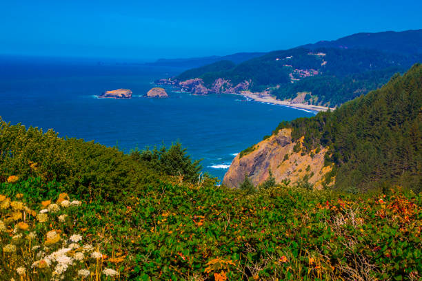 istock Northwest US Pacific  landscape on the Oregon coastal route 101 2204030138