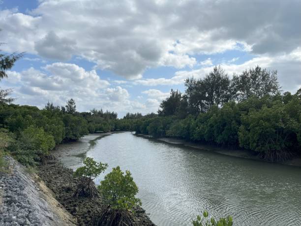 istock The river view in Miyako 2204031816