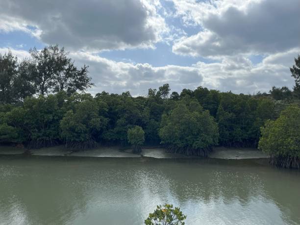 istock The river view in Miyako 2204031885