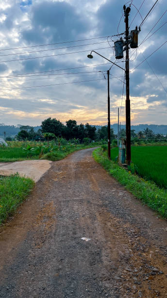 istock Rural dirt road with utility poles and green fields 2204031956