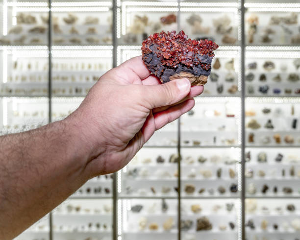A person holding a large cluster of mineral crystals, showcasing their unique layered structure, with a blurred background of more rocks and minerals