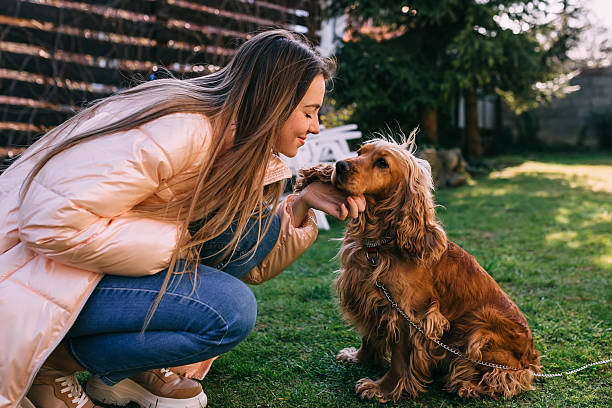 istock Beautiful  young woman playing with her cocker spaniel dog in th 2204035833