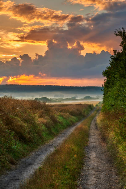 istock A tranquil rural landscape with a dirt road surrounded by overgrown grass and trees under a dramatic sunset in Denmark 2204036598