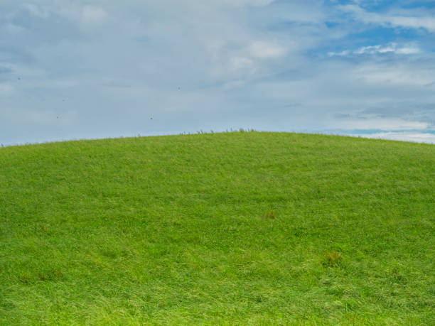 istock Scenic grassy hill under a clear sky with a spring and summer atmosphere 2204036686