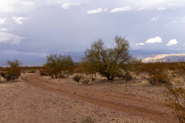 Dirt road in desert landscape at sunset, mountains distant, Tonto Basin, Arizona