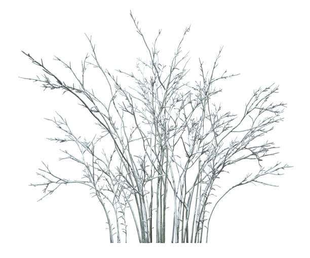 Snowy cover trees branches shrubs winter time cutout on white backgrounds 3d illustrations