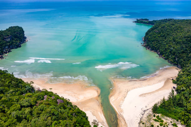 istock Aerial view of dense tropical rainforest and a small, deserted sandy beach 2204052962