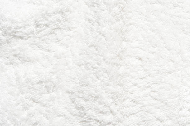 istock Soft plush white texture background for cozy winter ambiance and home decor 2204059709