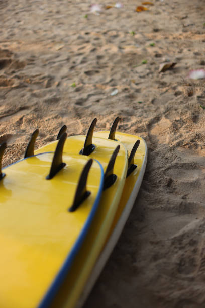 istock A collection of surfboards positioned on the sandy beach, all set and ready for thrilling action 2204063033