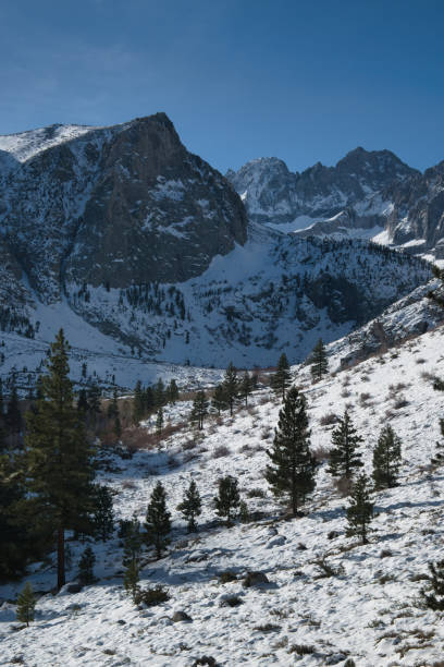 istock Winter Serenity in Big Pine National Forest 2204064857
