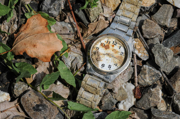 Wristwatch dropped on the road