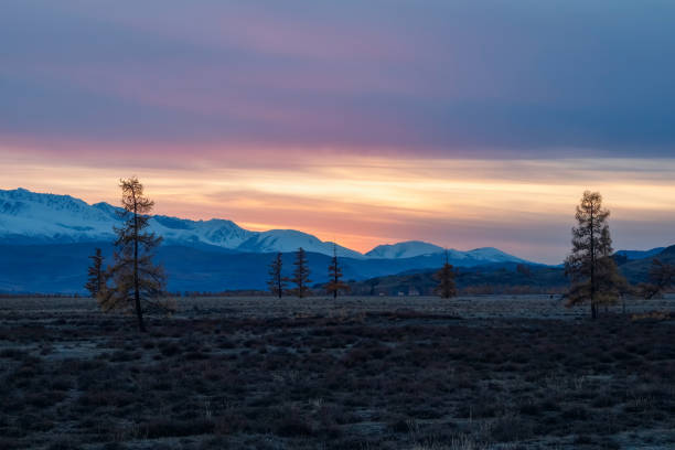 istock Twilight in the mountain steppe. 2204070515