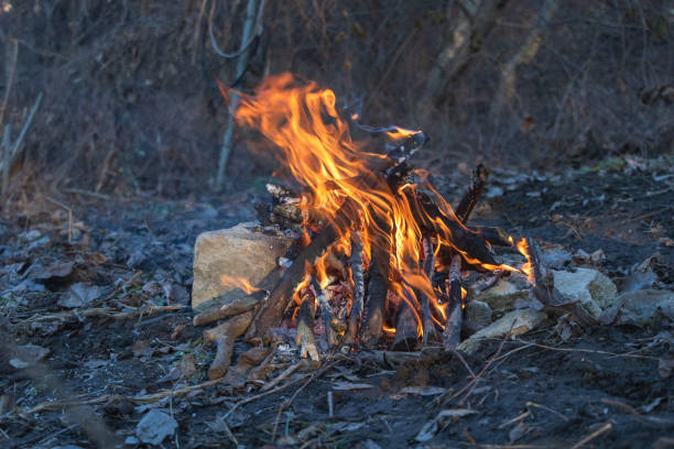A small campfire with flames, surrounded by dry branches and stones, is set up in the wilderness for cooking or heat during cold weather.