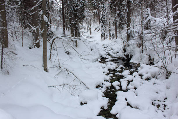 Kleinwalsertal - Winter / Kleinwalsertal - Winter