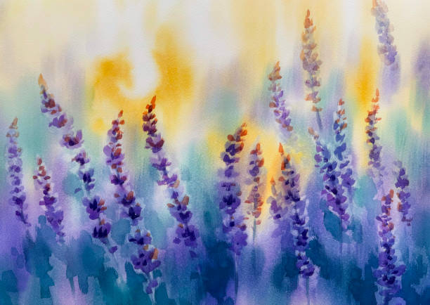 istock Violet lavender field blooming in the sunset watercolor background 2204074007