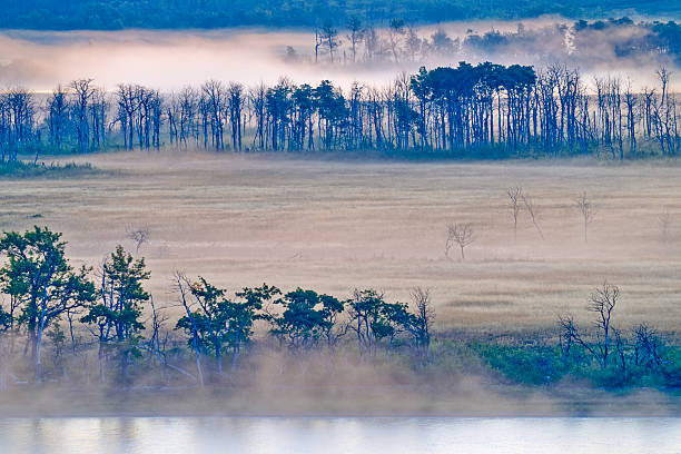 Lower Waterton Lake on a foggy dawn in Waterton National Park located in Alberta Canada