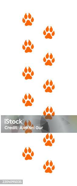 Fox Paws Texture Fox Paw Prints Vector Stock Illustration - Download Image Now ...