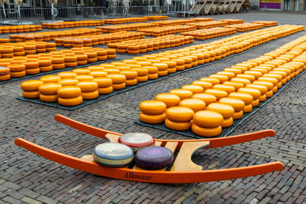 istock traditional cheese market in Alkmaar, Netherlands 2204102298
