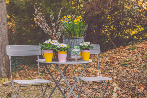istock Flower arrangement in the garden 2204102374