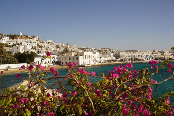istock Panoramic view of Mykonos with flowers 2204103095