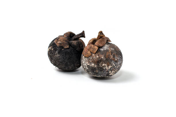 istock rotten and moldy mangosteen isolated on white background 2204103145