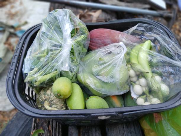 istock Organic vegetables from the garden 2204104147