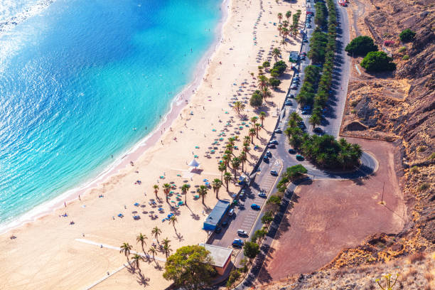 istock View of a beach from a drone 2204106141