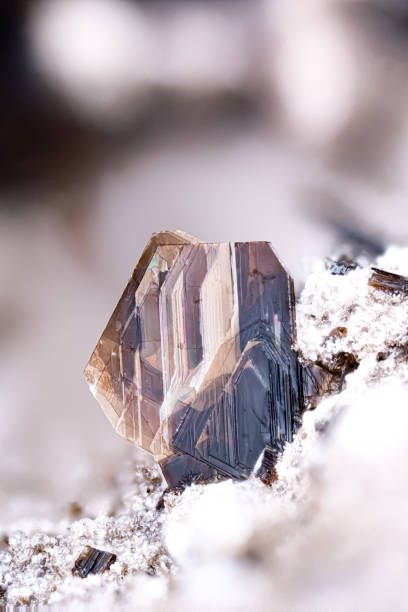istock Phlogopite crystals. Specimen from Nickenicher Weinberg, Pellenz, Germany 2204117656