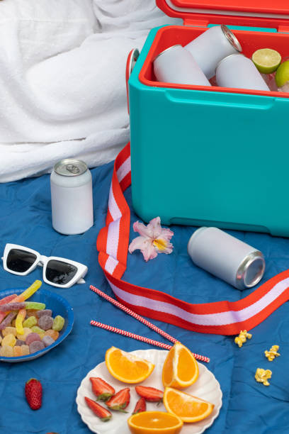 istock blank drink can out of thermo box on picnic 2204121092