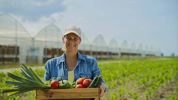 istock Proud Farmer with Organic Produce 2204121694