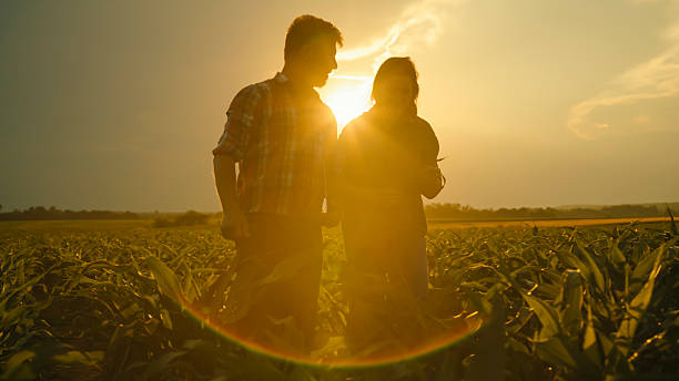 istock Farmers Walking through Cornfield at Sunset 2204121732