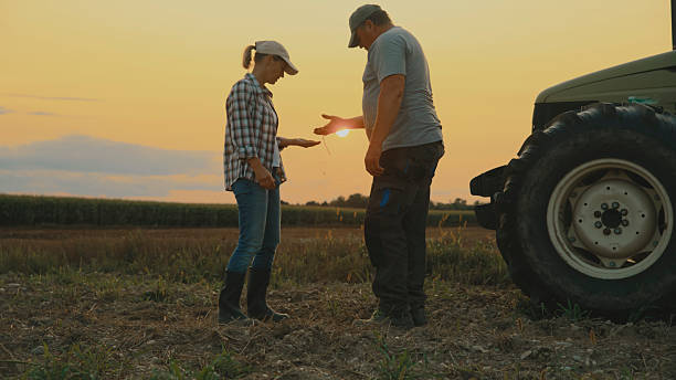 Against a Golden Sky,a Man Presents Soil to His Partner,Sparking a Discussion About Crop Readiness Or Land Health. The Peaceful Scene Conveys Thoughtful Collaboration and a Deep Connection to the Earth