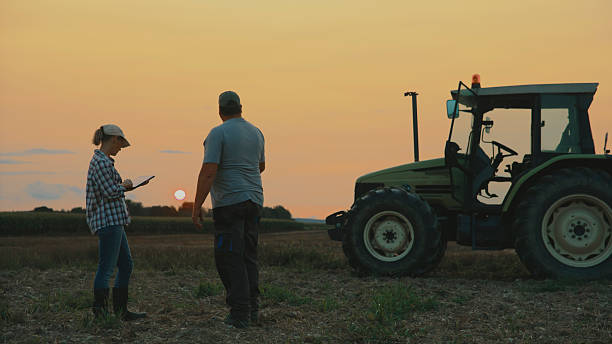 istock Digital Farming Collaboration at Sunset 2204122931
