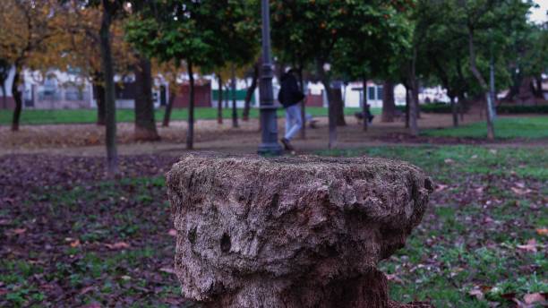 istock A large rock sits in a park with a person walking by 2204124429